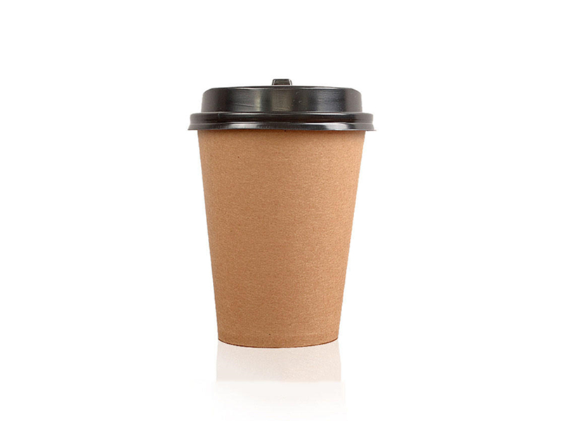Recyclable Disposable Cups